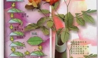 手工折纸玫瑰花